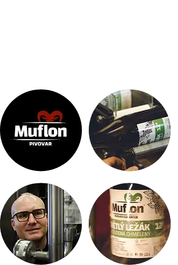 muflon_home